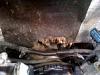Another one bites the dust (03 Hemi Valve spring)-intake3.jpg