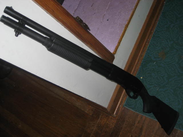 Name:  shotgun005.jpg
Views: 21
Size:  29.7 KB