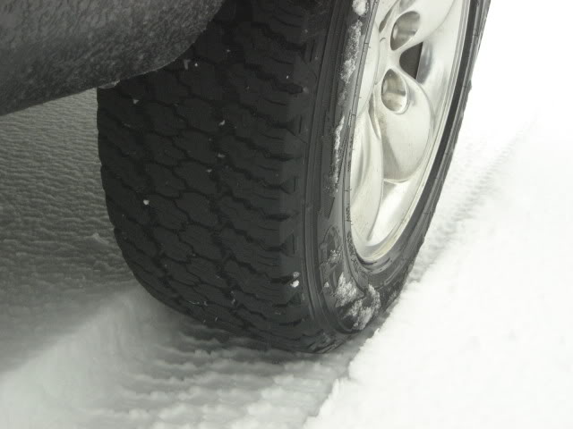 Name:  snow013.jpg
Views: 81
Size:  36.5 KB