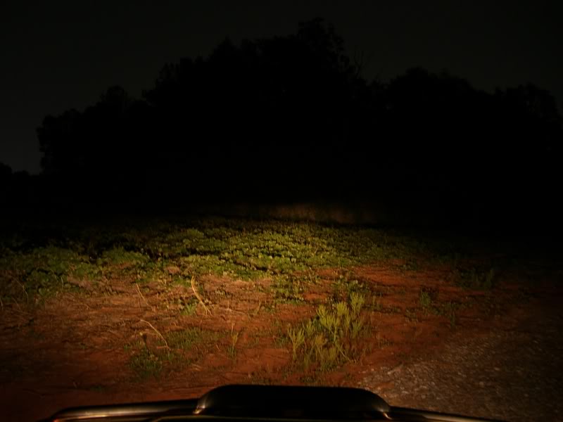Name:  CIMG1284.jpg
Views: 36
Size:  61.5 KB
