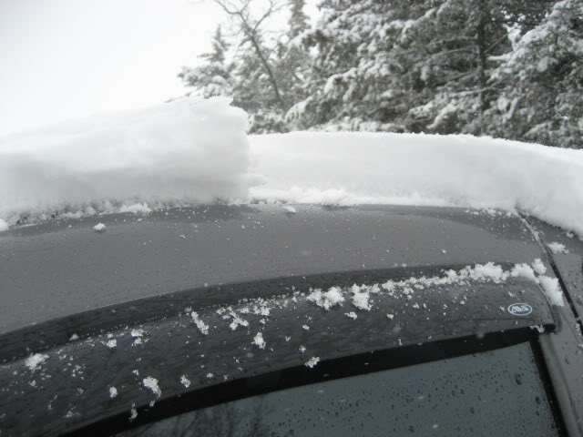 Name:  snow005.jpg
Views: 71
Size:  50.4 KB