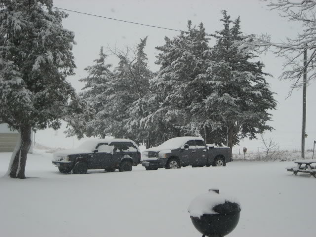 Name:  snow001.jpg
Views: 79
Size:  65.3 KB