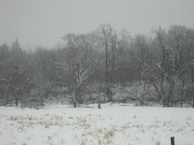 Name:  snow009.jpg
Views: 97
Size:  51.1 KB