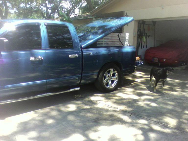 Name:  truckdropped.jpg
Views: 95
Size:  61.0 KB