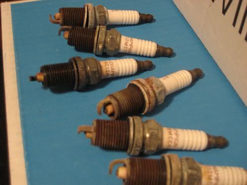 Name: plugs.jpg
Views: 39
Size: 25.8 KB