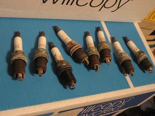 Name: plugs3.jpg
Views: 31
Size: 30.7 KB