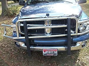 Deer damage-100_1997.jpg