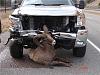 Ram -VS- Chevy...Both Lose-ram.jpg