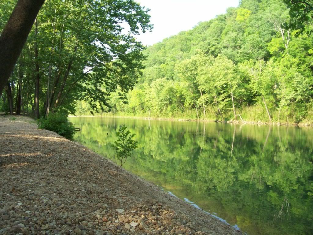 Name:  100_1121-1.jpg
Views: 98
Size:  201.3 KB