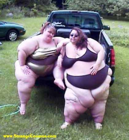 Name:  fat_20chicks_1181245928.jpg
Views: 31
Size:  27.6 KB