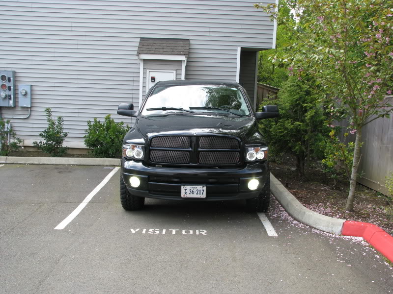 Name:  IMG_3879.jpg
Views: 41
Size:  149.7 KB