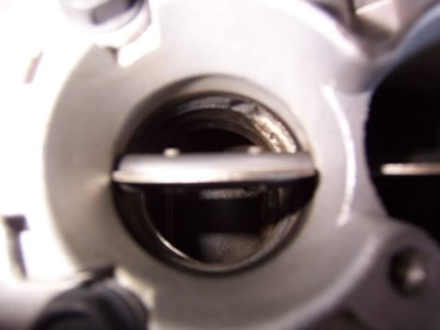 Name:  100_1479.jpg
Views: 21
Size:  28.9 KB
