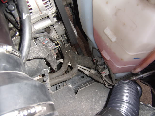 Name:  GEDC2127.jpg
Views: 122
Size:  56.7 KB