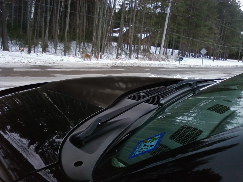 Name:  hooddriverview.jpg
Views: 36
Size:  124.1 KB