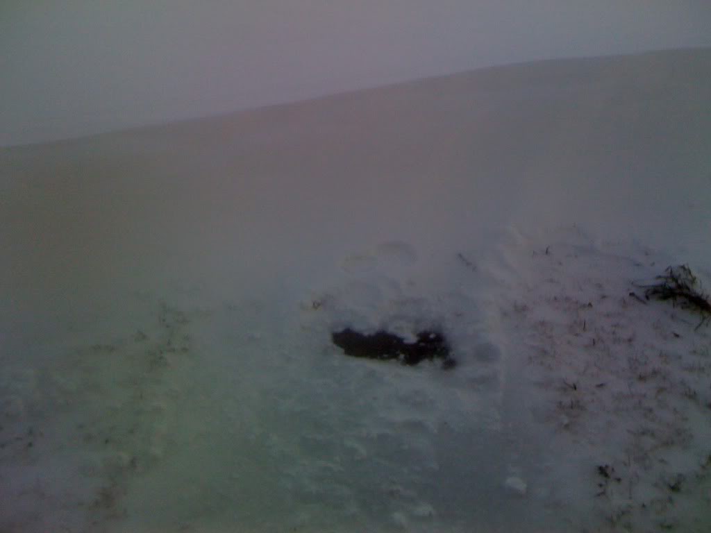 Name:  IMG_0159.jpg
Views: 51
Size:  33.3 KB