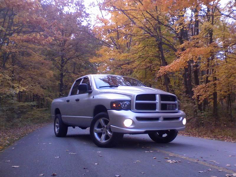 Name:  falltruck1.jpg
Views: 22
Size:  92.9 KB