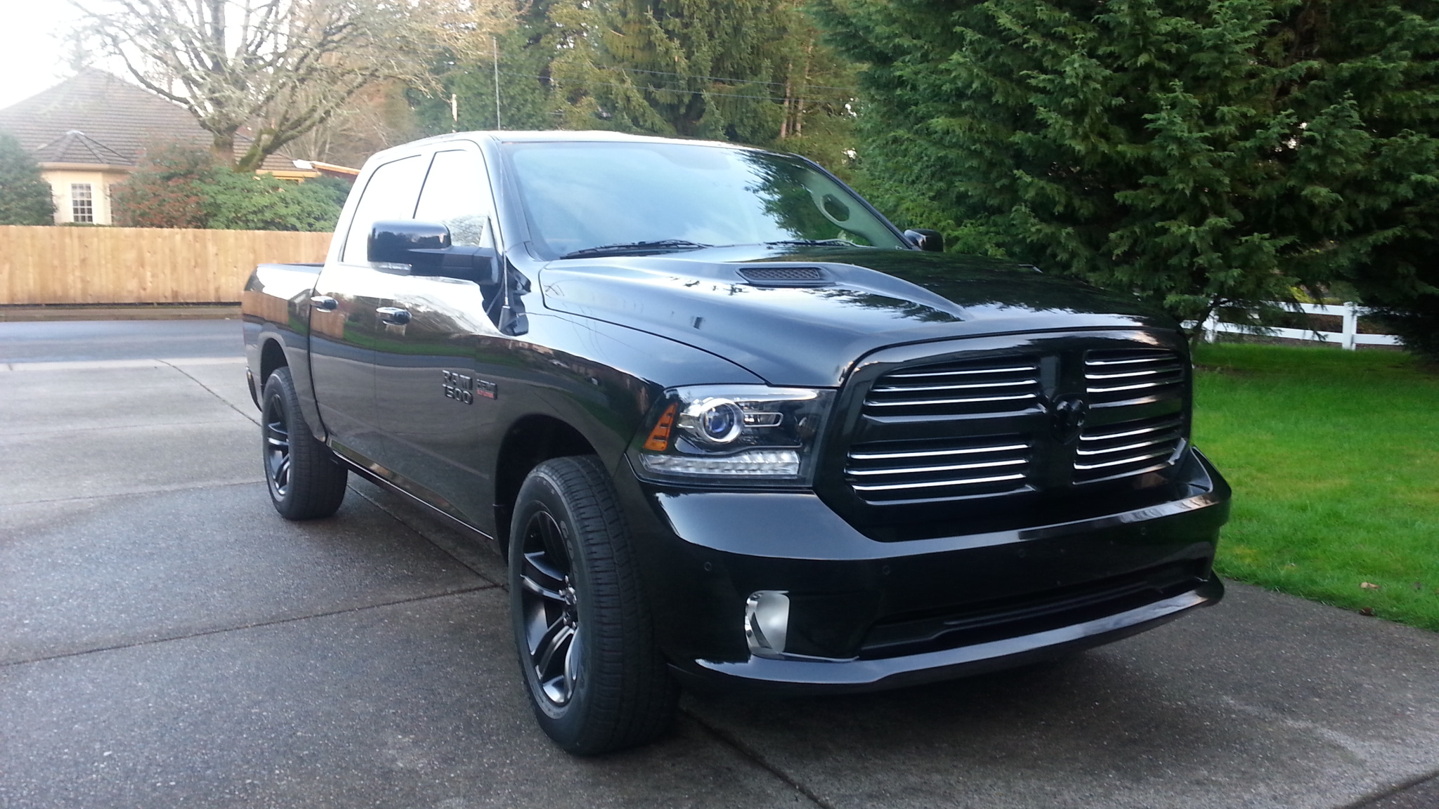 Official 4th Gen Ram Pictures Page 53.
