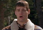 Name:  k6o0n.gif
Views: 132
Size:  811.7 KB