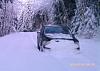 Enough already-snow.jpg