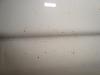 Check This Rust!!!!!!-dsc06731.jpg