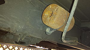 What is this thing?-20171116_144510.jpg