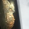 Wheel Well Rust-img_5434.jpg