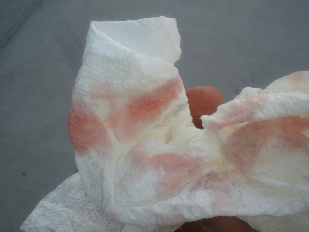 Name:  2012-06-25202606.jpg
Views: 59
Size:  126.5 KB