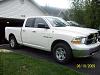 Bug Sheilds-105_0185-small-.jpg