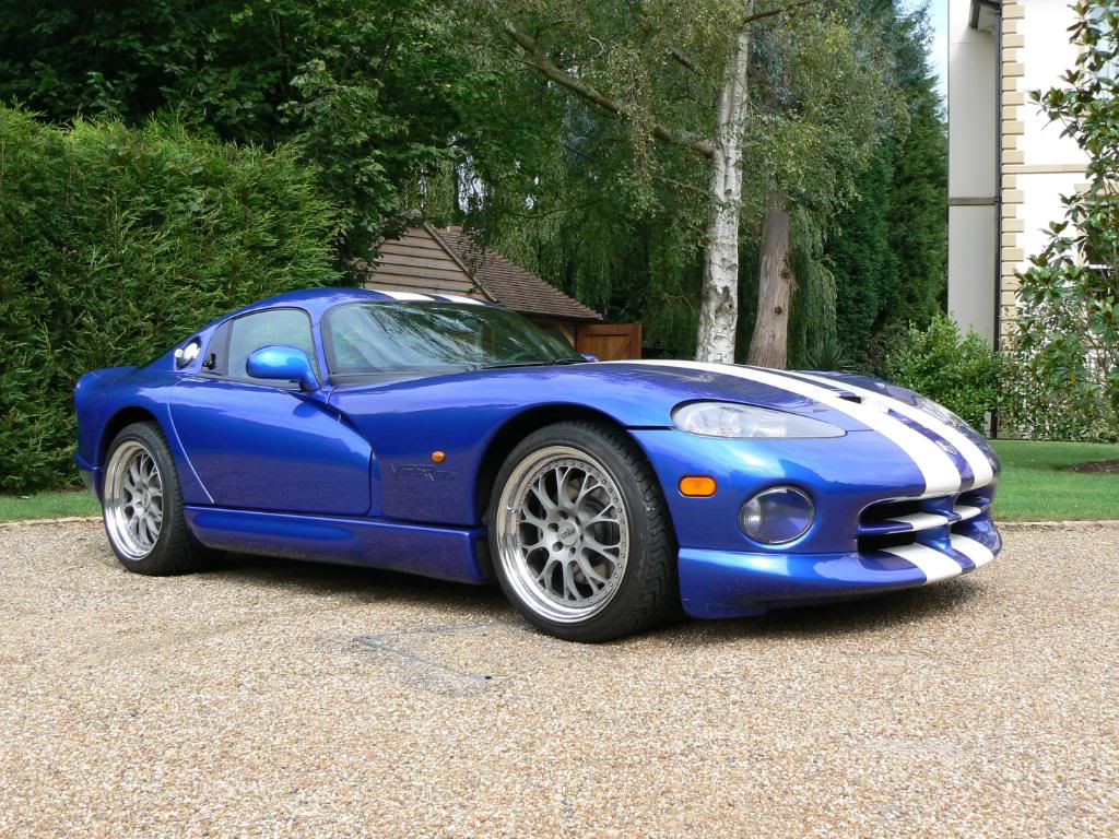 Name:  viperandstingray008-1.jpg
Views: 30
Size:  198.7 KB