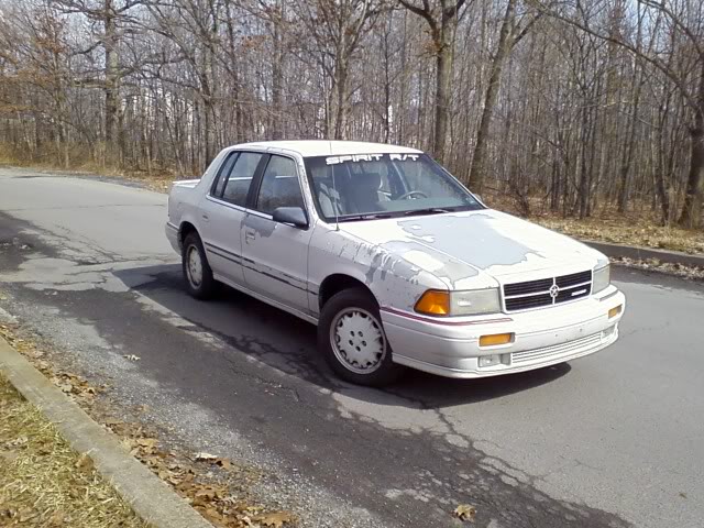 Name:  0309whitey3.jpg
Views: 48
Size:  87.8 KB