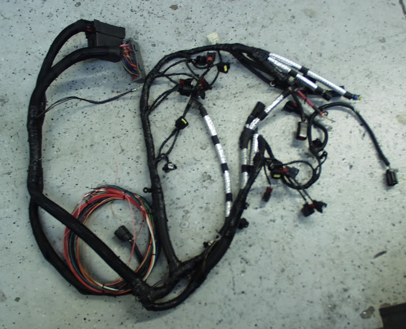 Name:  61Lengineharness.jpg
Views: 21
Size:  97.1 KB