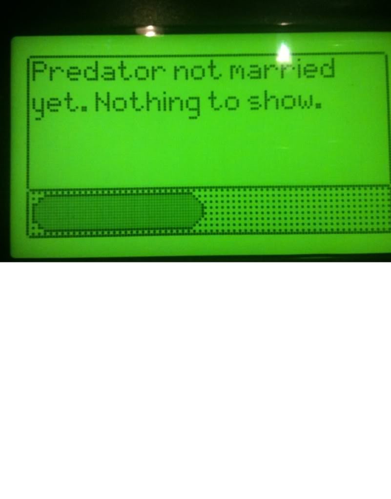 Name:  DiabloSportPredator1.jpg
Views: 243
Size:  45.7 KB