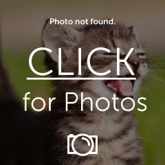 Name:  0515011923.jpg
Views: 26
Size:  14.0 KB