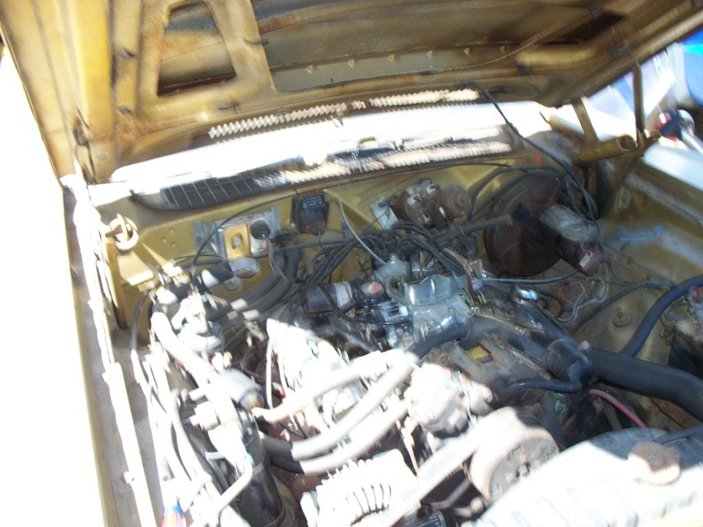 Name:  100_4195.jpg
Views: 32
Size:  104.3 KB