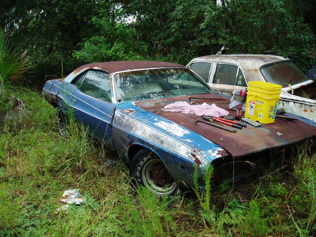 Name:  junkyard1.jpg
Views: 236
Size:  69.6 KB