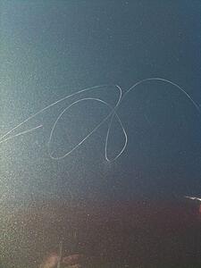 How much to paint the hood?-toww3l.jpg