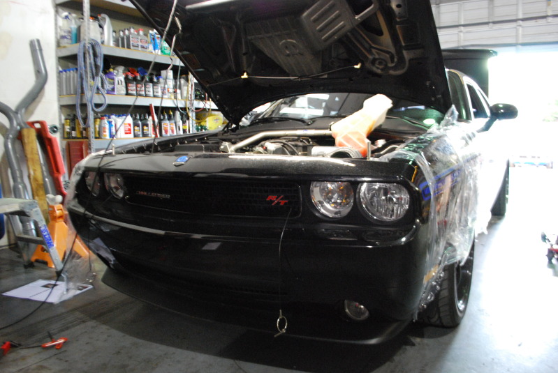 Name:  DSC_0420-2.jpg
Views: 98
Size:  132.2 KB