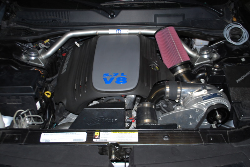 Name:  DSC_0457-1.jpg
Views: 108
Size:  114.5 KB
