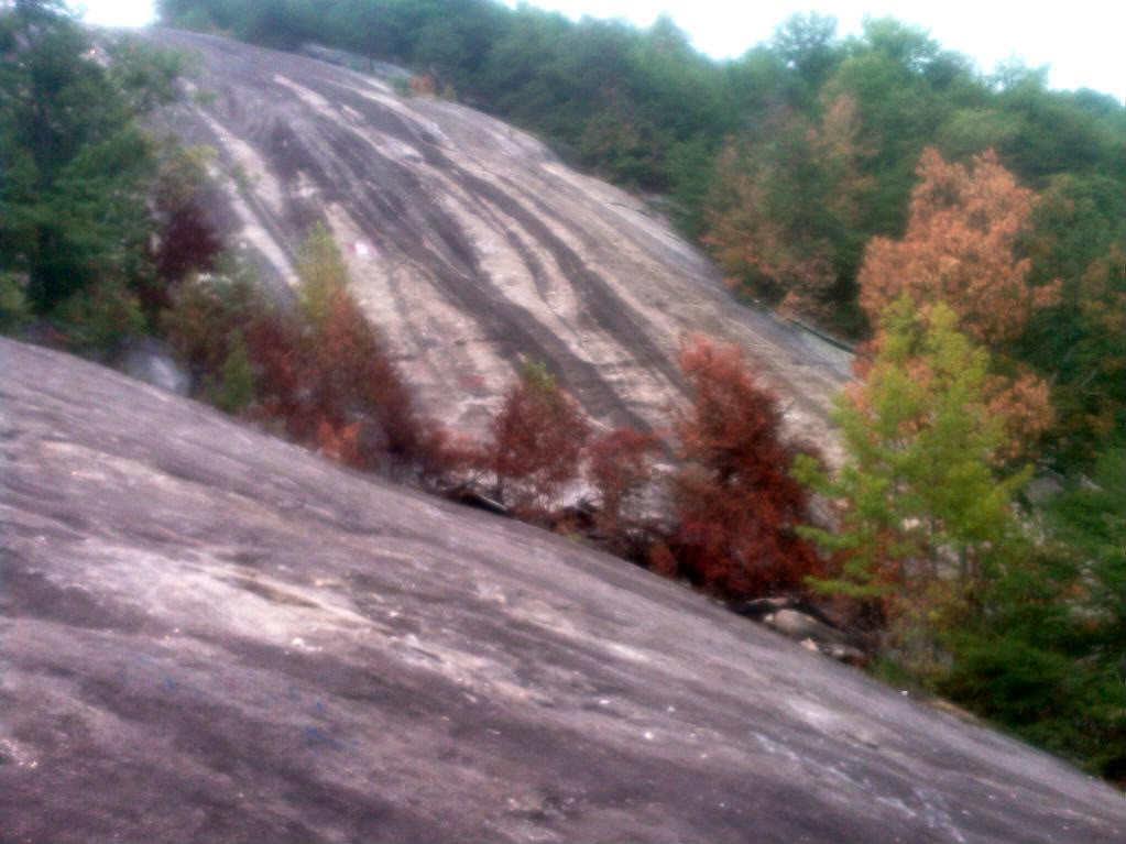 Name:  IMAG0076.jpg
Views: 62
Size:  105.9 KB