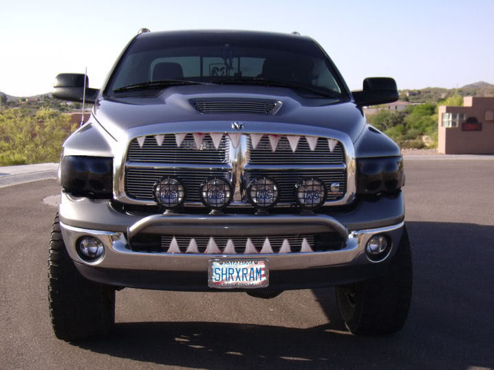 Name:  Bruce1teefers.jpg
Views: 64
Size:  56.7 KB