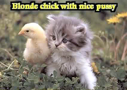 Name:  funny-07.jpg
Views: 34
Size:  17.1 KB