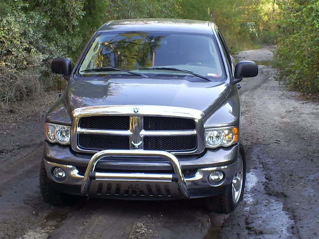 Name:  S5030598.jpg
Views: 85
Size:  113.8 KB