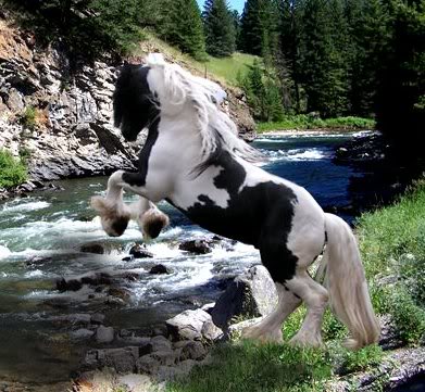 Name:  Sarsti20Gri.jpg
Views: 48
Size:  48.2 KB