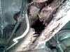 Frame rusted!-img0002_11-01-2012.jpg