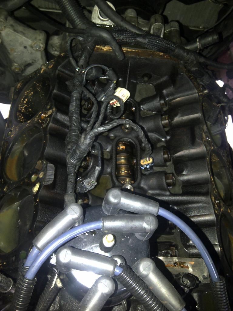 Name:  IMG-20120830-00400.jpg
Views: 168
Size:  108.4 KB