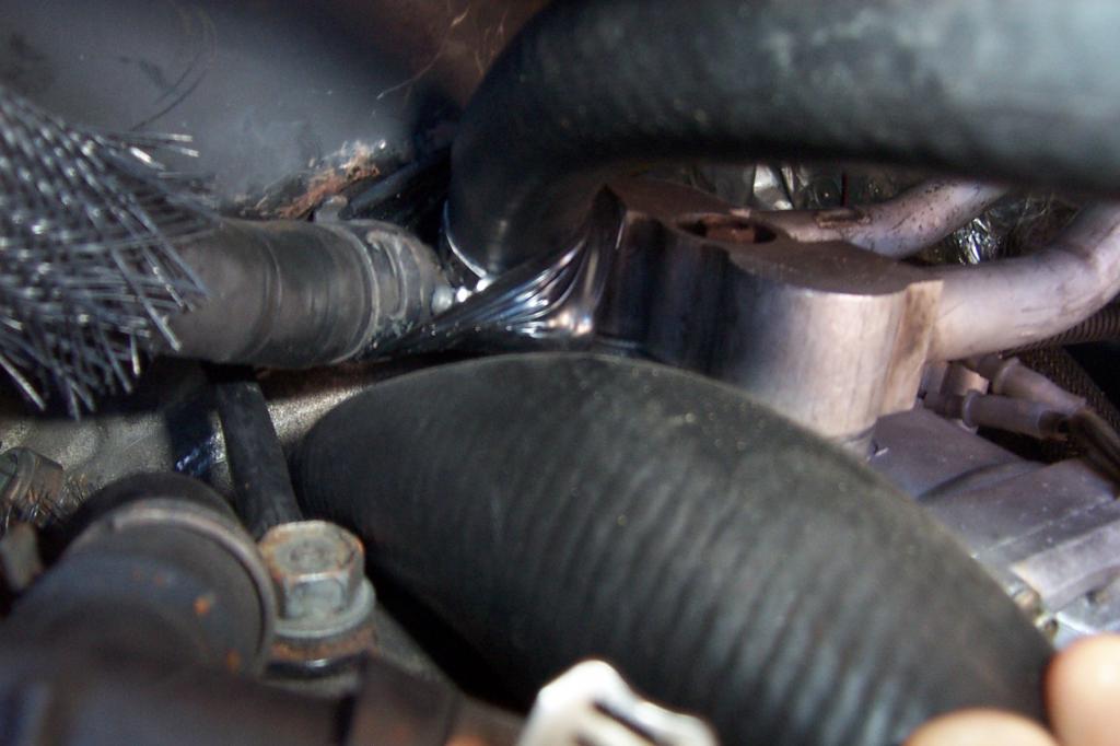 Name:  Vanhoses012.jpg
Views: 52
Size:  64.6 KB