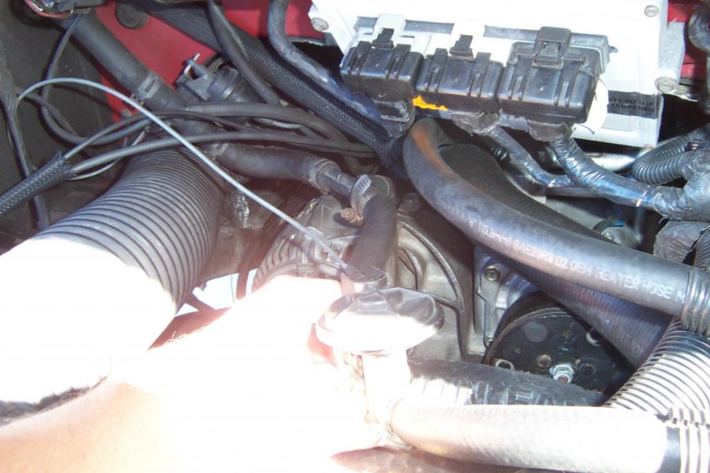 Name:  Vanhoses011.jpg
Views: 47
Size:  92.8 KB