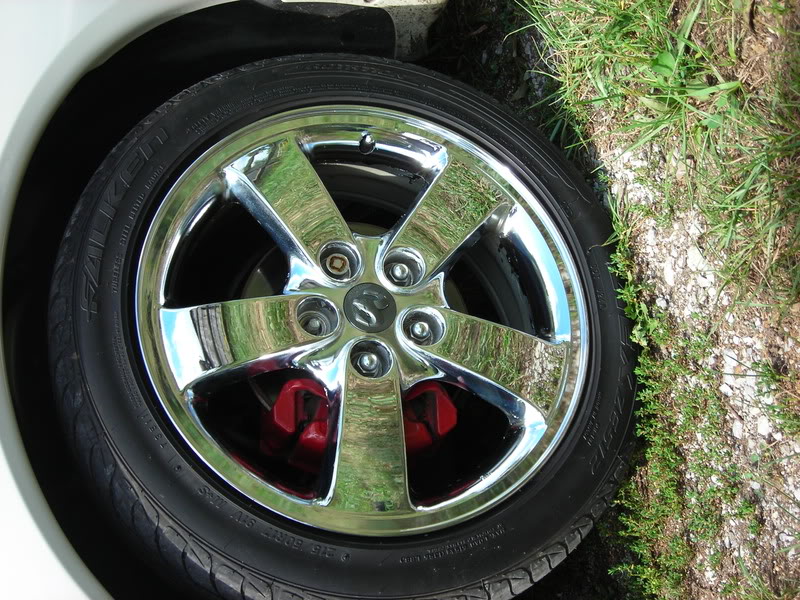 Name:  Newwheels004.jpg
Views: 175
Size:  152.0 KB
