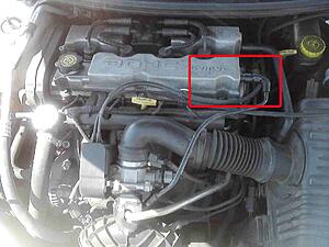help to identify-zhw73.jpg