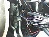 skipping problem-harness1.jpg